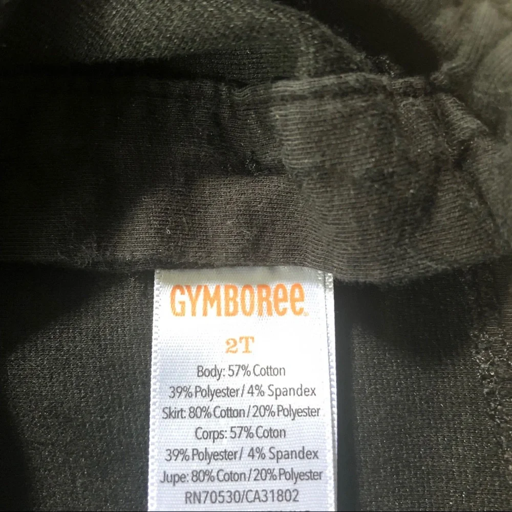 Gymboree long sleeve dress